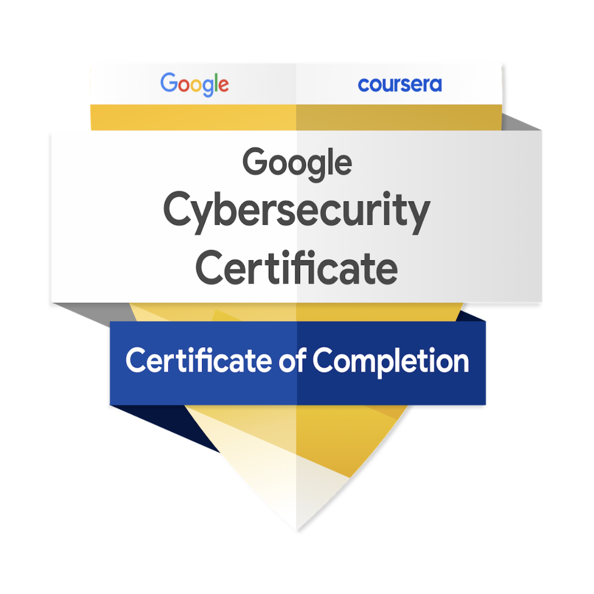 Google Cybersecurity Professional